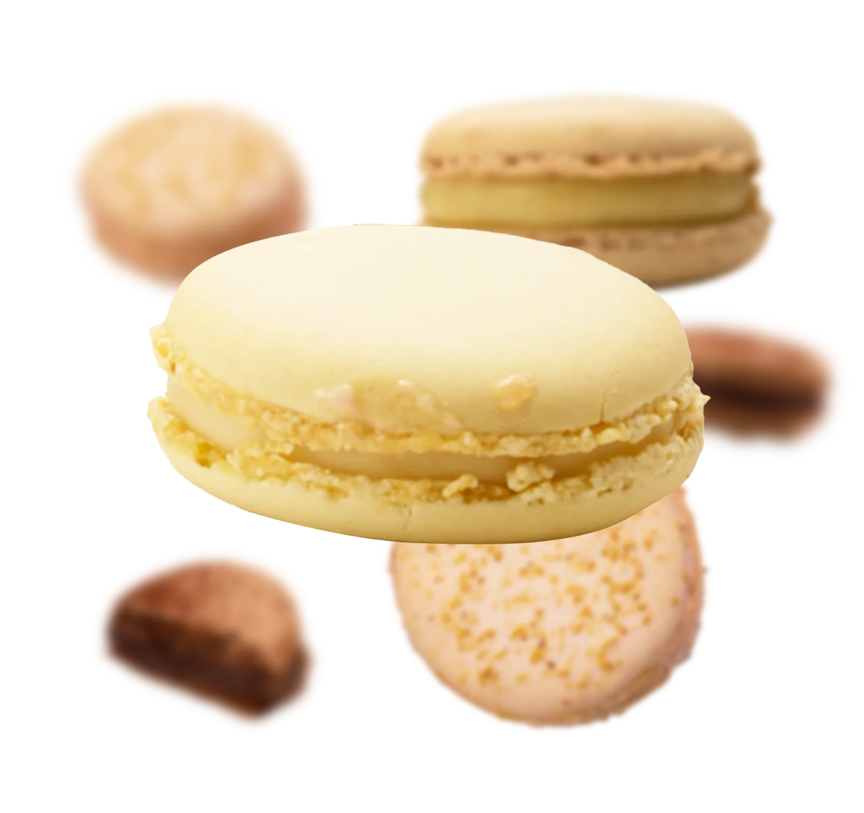 Macaron/マカロン